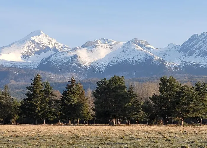 Anicka Vo Vazci Daire