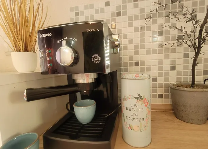 Daire Anicka Vo Vazci *