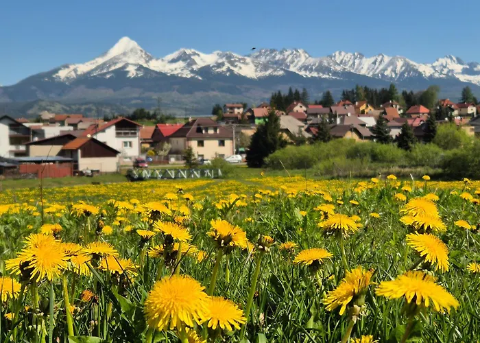 Anicka Vo Vazci Važec